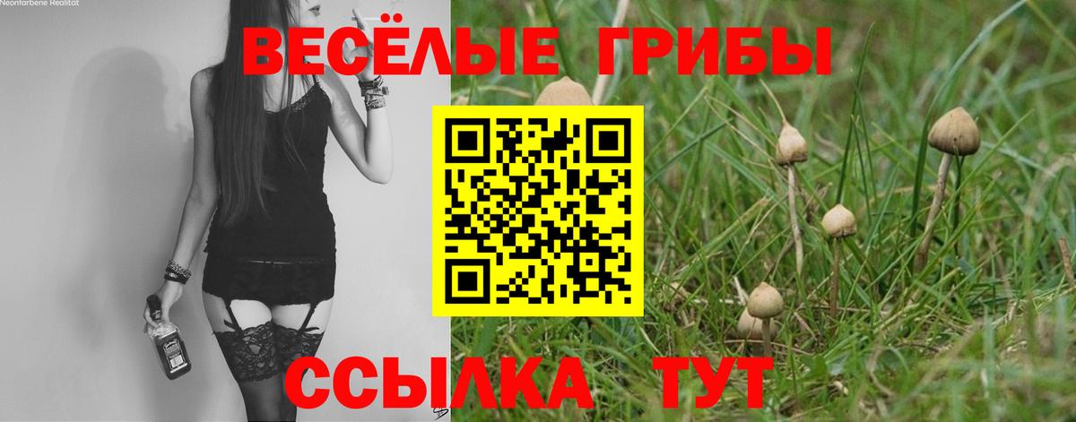 Псилоцибиновые грибы мухоморы  магазин продажи   Вход с VPN  Югорск  Галлюциногенные грибы Psilocybe 